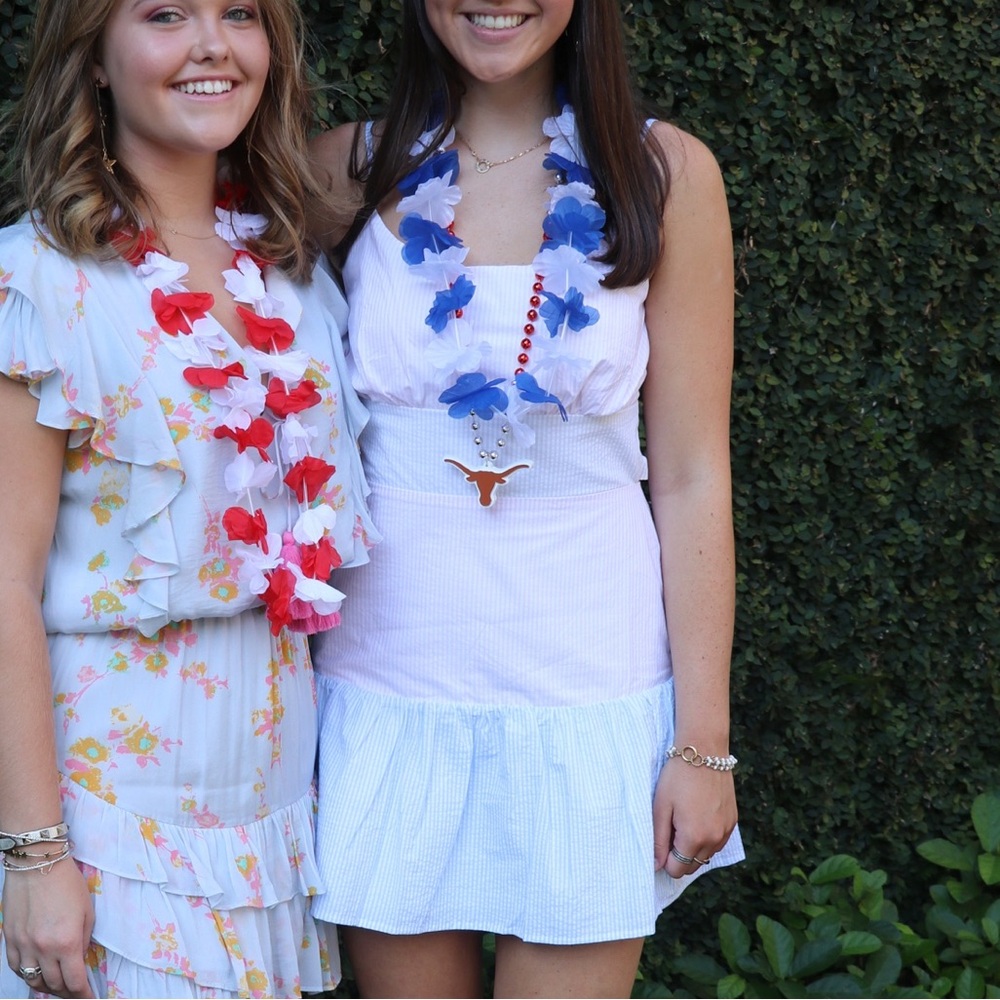 Lovers and friends seersucker dress